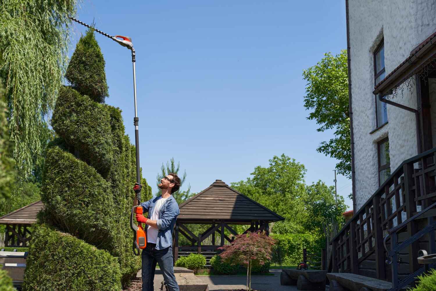 Palm Tree Trimming in Palmyra, MO